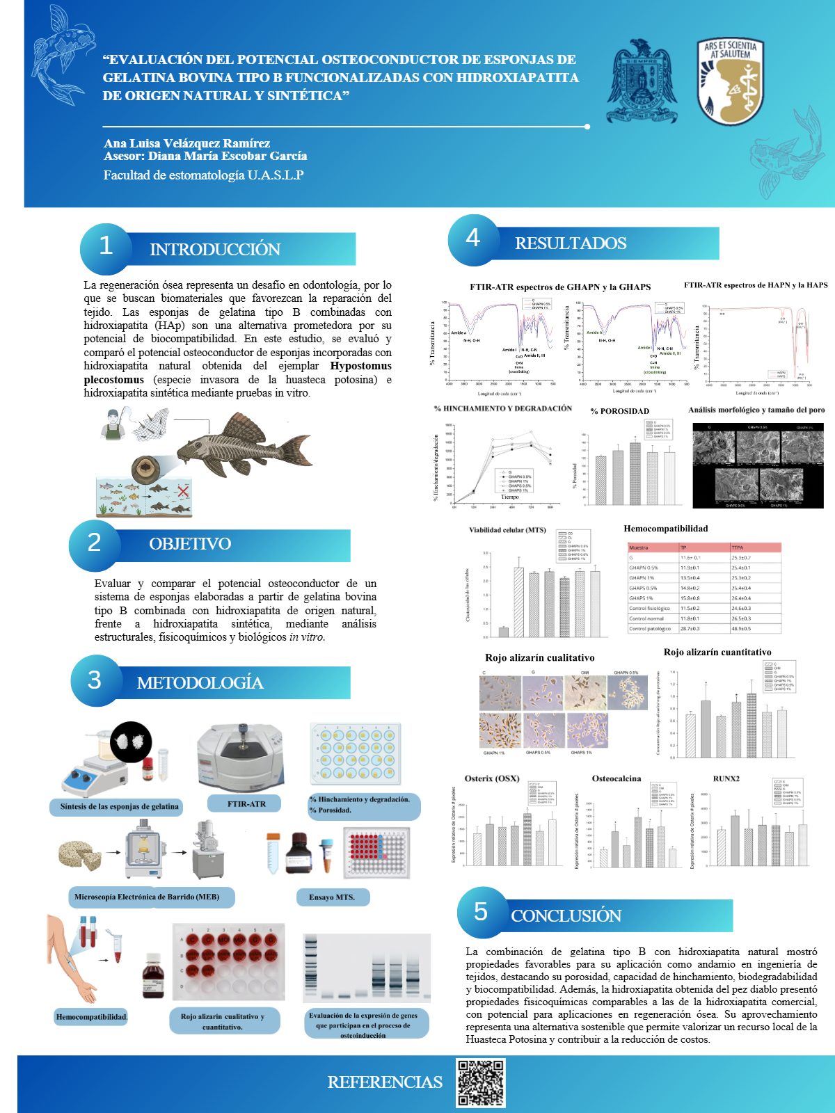 Cartel: “EVALUACIÓN DEL POTENCIAL OSTEOCONDUCTOR DE ESPONJAS DE GELATINA BOVINA TIPO B FUNCIONALIZADAS CON HIDROXIAPATITA DE ORIGEN NATURAL Y SINTÉTICA”