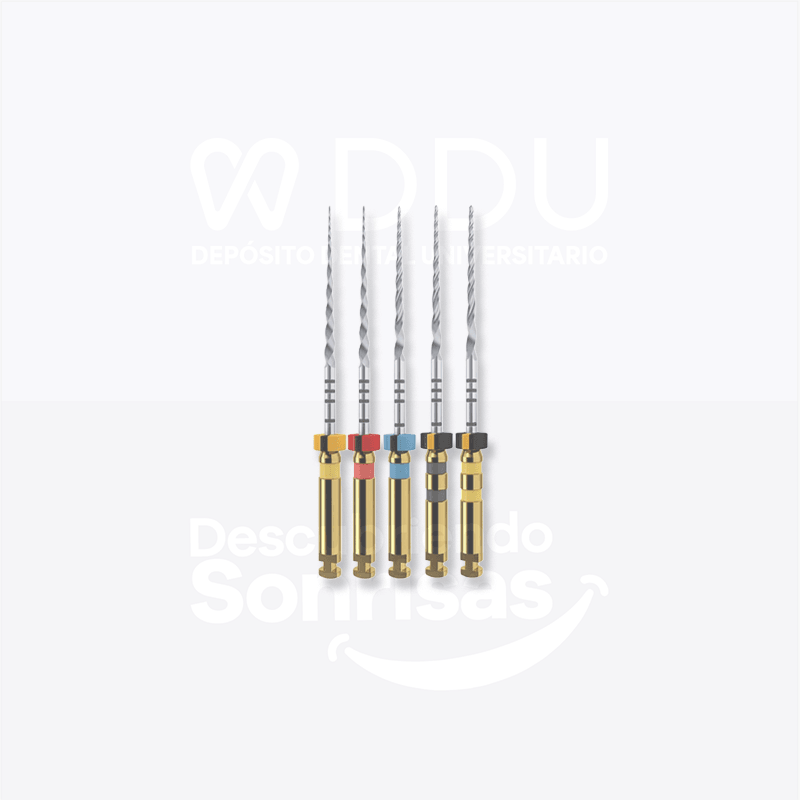Limas Protaper Next SET 21MM C/3