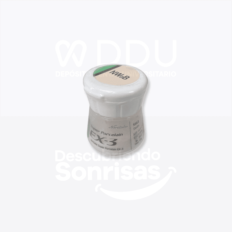 EX-3 Body Cuerpo Noritake 10 GR Nwob