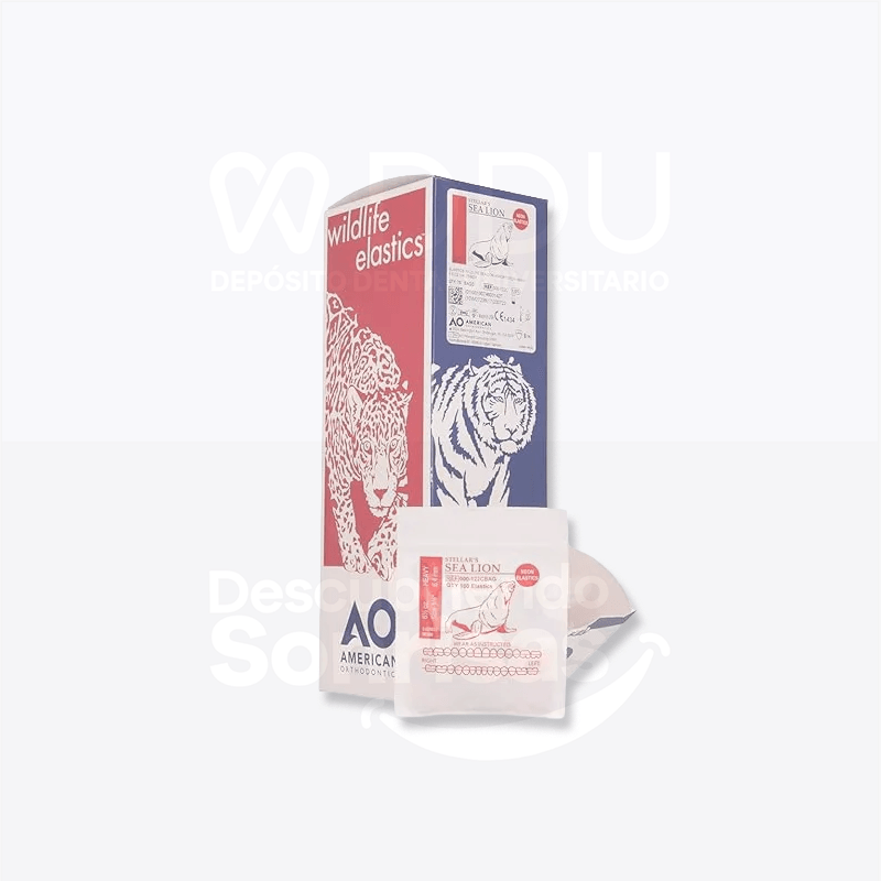 Caja Ligas C/50 A.o. 6.5OZ 1/4" Leonmar