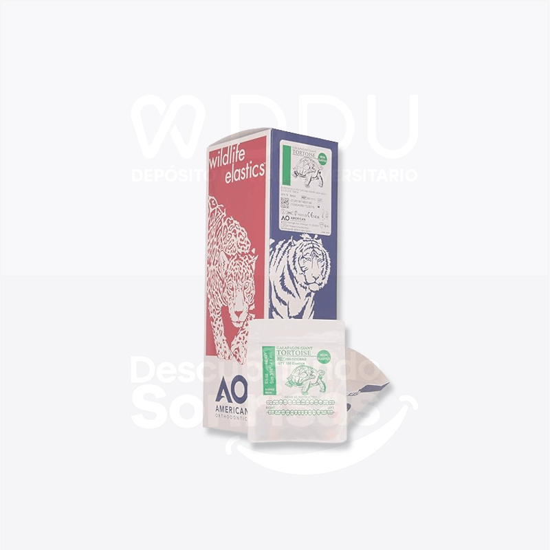 Caja Ligas C/50 A.o. 6.5OZ 3/16" Tortuga