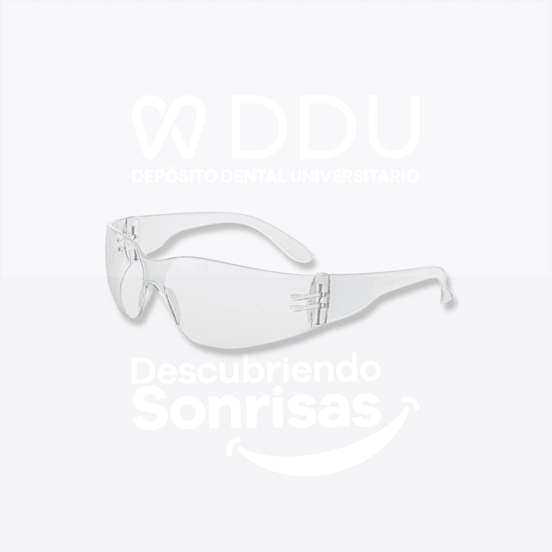 Lentes DE Proteccion Transp Economic