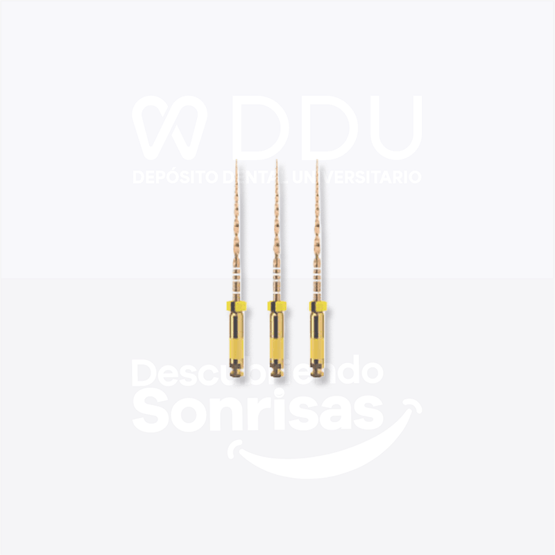 Limas Wave ONE Gold 21 MM Small C/3