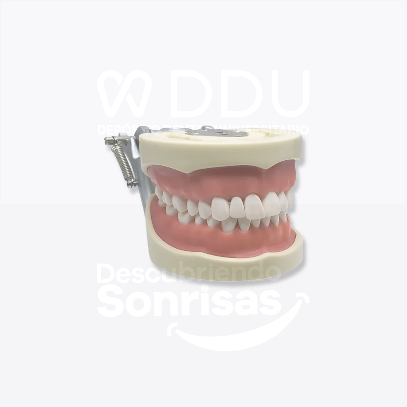 Tipodonto DF200G Adulto C/32 Tipo Nissin