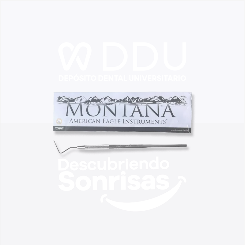 Sonda Univ Norte DE Carolina Am-eagle